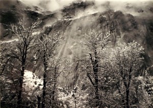 Trees and Cliffs of Eagle Peak