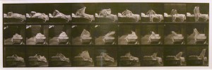 Animal Locomotion #265