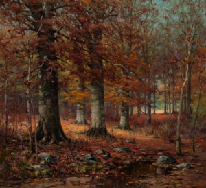 Beechwoods